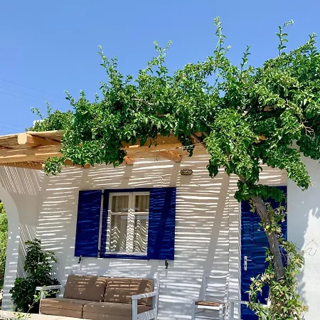 Appartement Aloni Ios *